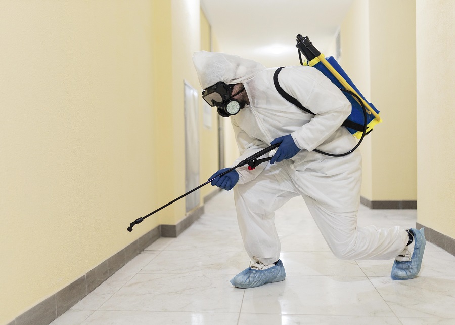 Verified Homeowner Experiences in Hawx Pest Control Reviews